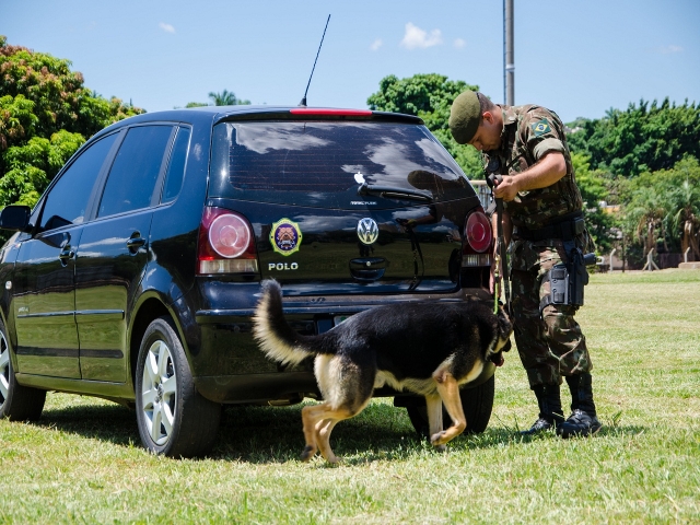 Cães de Guerra: com faro aguçado, são preponderantes no combate ao narcotráfico nas fronteiras do país