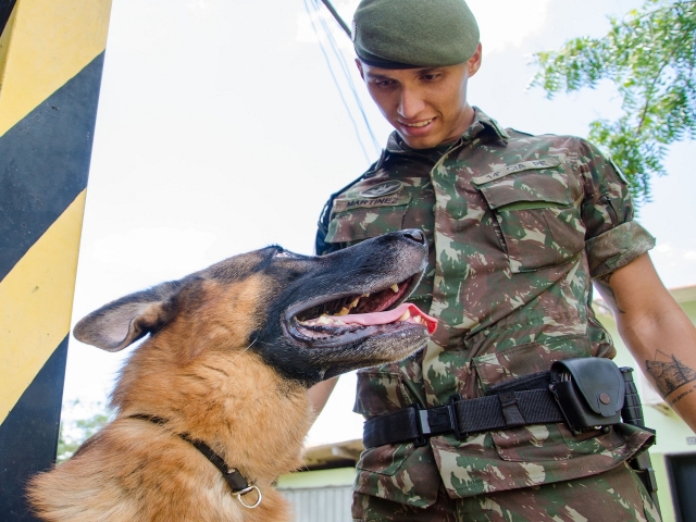 Cães de Guerra: com faro aguçado, são preponderantes no combate ao narcotráfico nas fronteiras do país